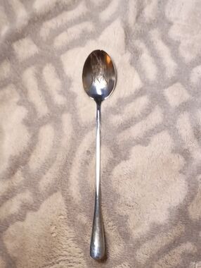Long-Handled Serving Spoon in Silver Finish